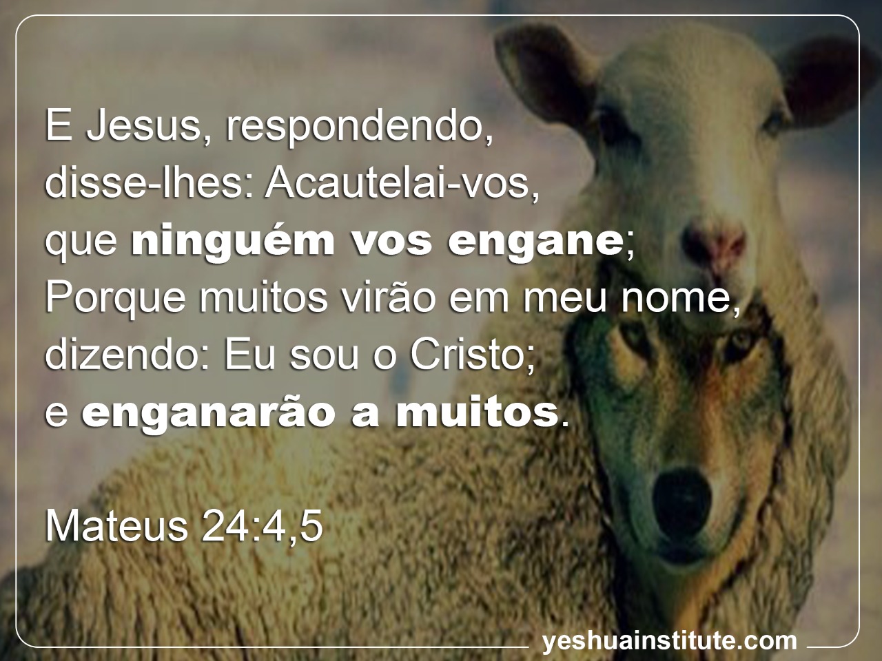 Pessoas de mãos dadas.